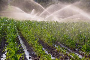 Answering Common Questions About Commercial Irrigation Systems
