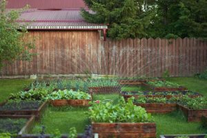 Irrigation Design Tips for Creating the Perfect Sprinkler System