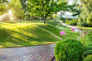 Why You Need Professional Irrigation Design