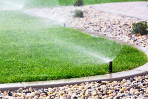 Three Must-Ask Questions Before Investing in an Irrigation System Installation