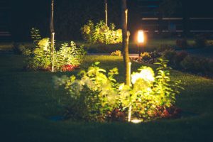 Incredible Ways to Transform Your Yard at Night Using Landscape Spotlights